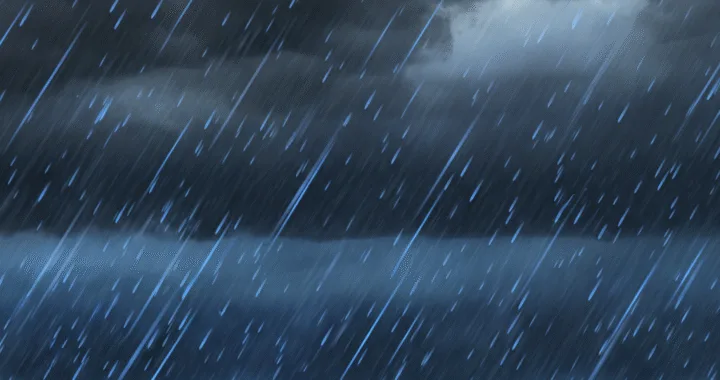 九州大雨特別警報！家族を守る緊急避難マニュアル